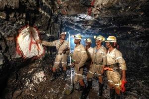 Βοηθητικός παράγοντας CMC νατρίου καρβοξυμεθυλοκυτταρίνης